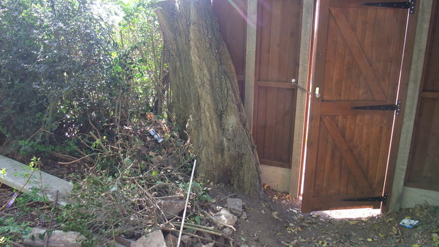 dscf8672.jpg